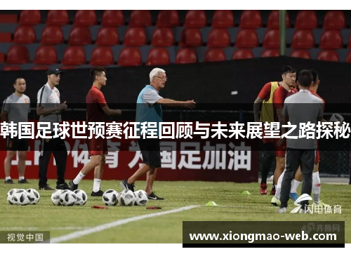 韩国足球世预赛征程回顾与未来展望之路探秘