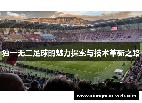 独一无二足球的魅力探索与技术革新之路