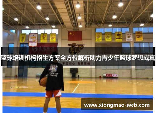 篮球培训机构招生方案全方位解析助力青少年篮球梦想成真