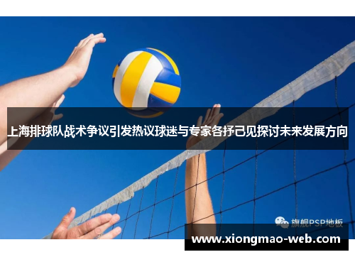 上海排球队战术争议引发热议球迷与专家各抒己见探讨未来发展方向