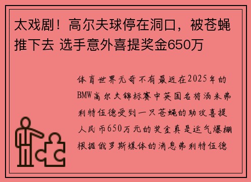 太戏剧！高尔夫球停在洞口，被苍蝇推下去 选手意外喜提奖金650万